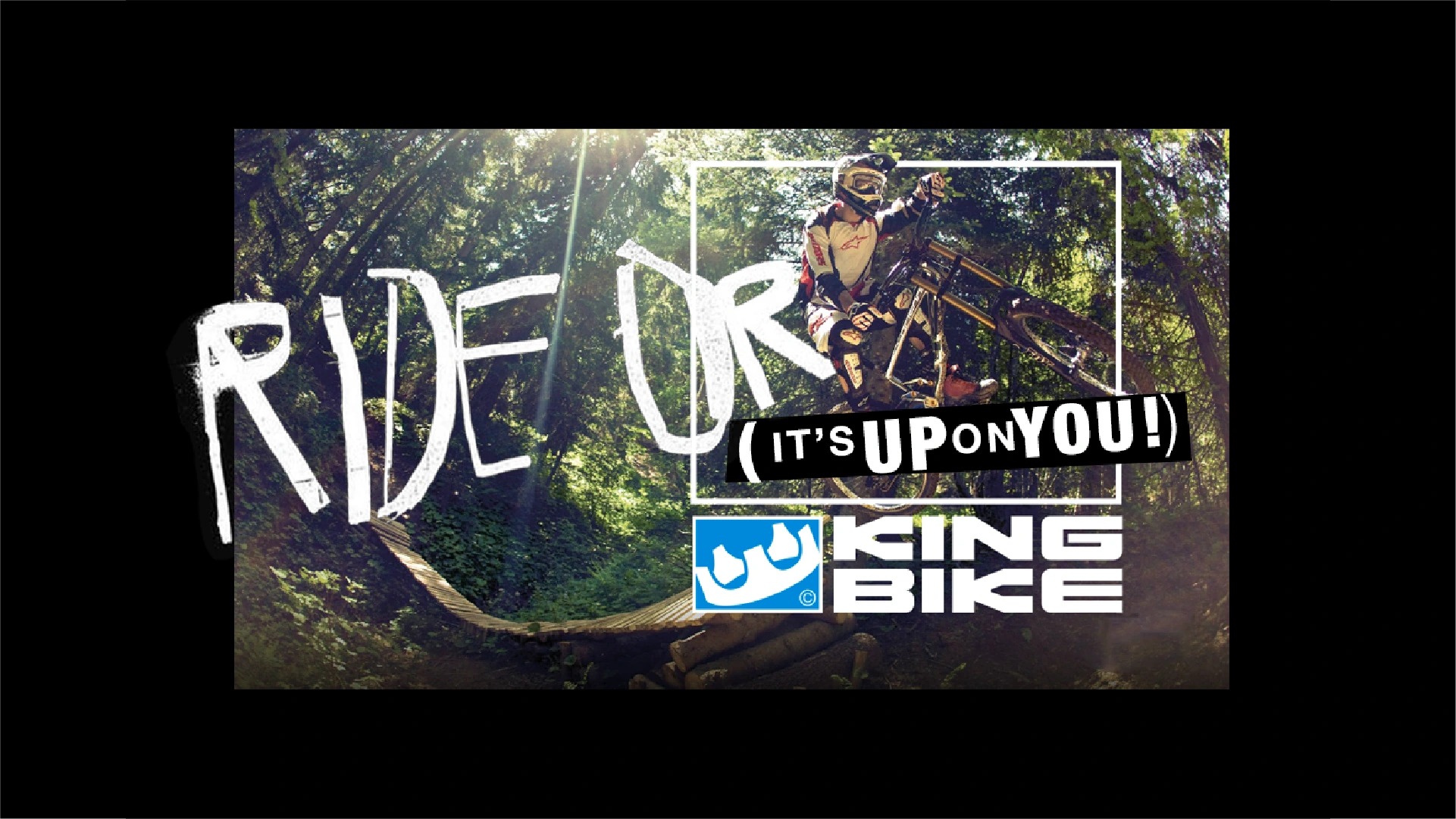 King Bike — peça 12