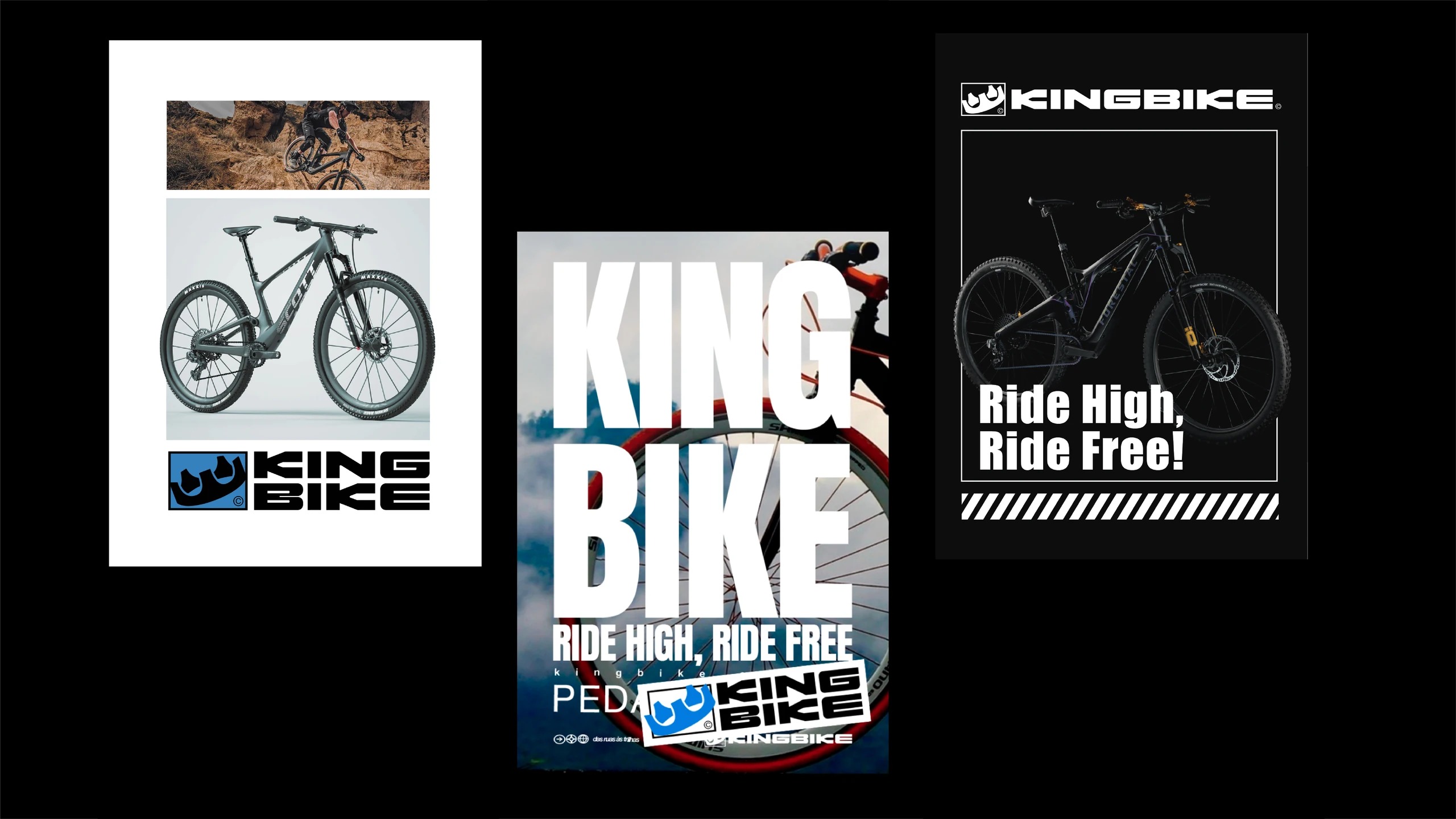King Bike — peça 15